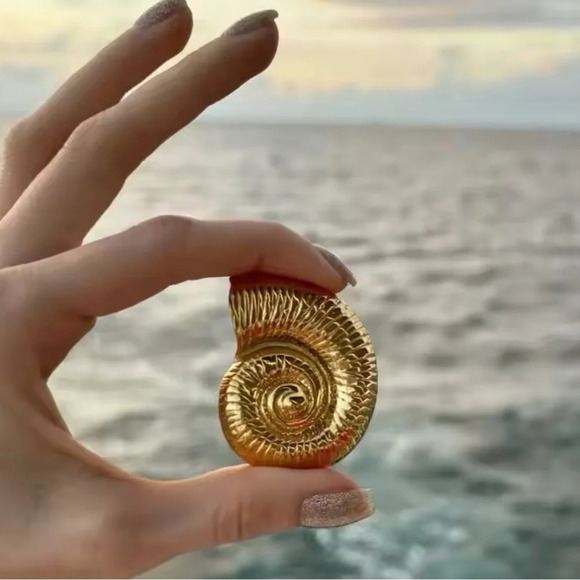 Zara Golden Seashell Earrings - Picture 17 of 17